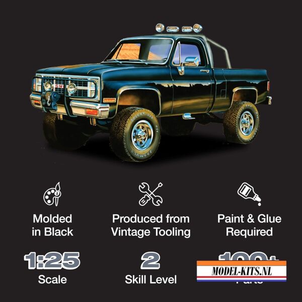 Gmc Deserter Pickup Truck 2