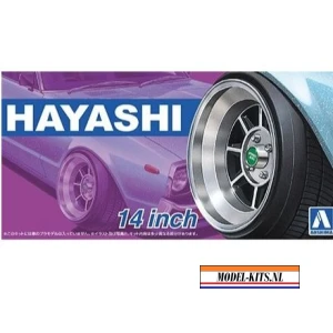 20 hayashi 14 2