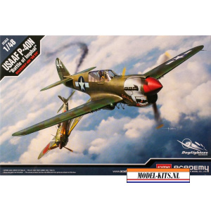 usaaf p 40n battle of imphal