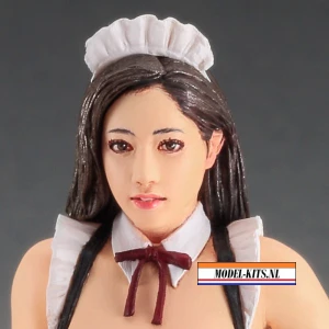 Real Figure Coll. No. 18, Maid. Res 4