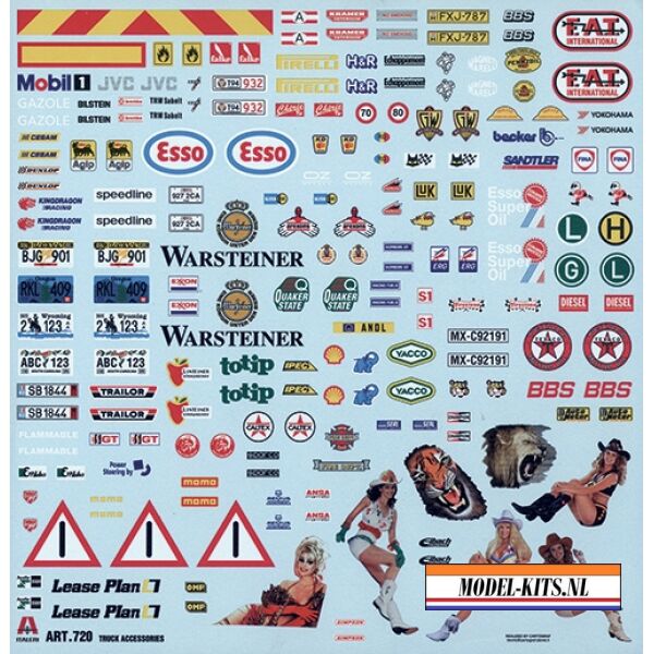 TRUCK ACCESSOIRES 2