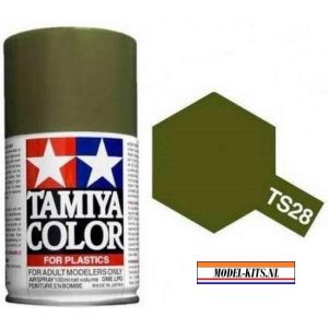 TS 28 OLIVE DRAB 2 (100ML)