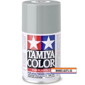 TS 32 HAZE GRAY (100ML)