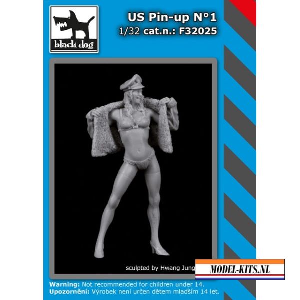 US PIN UP N°1