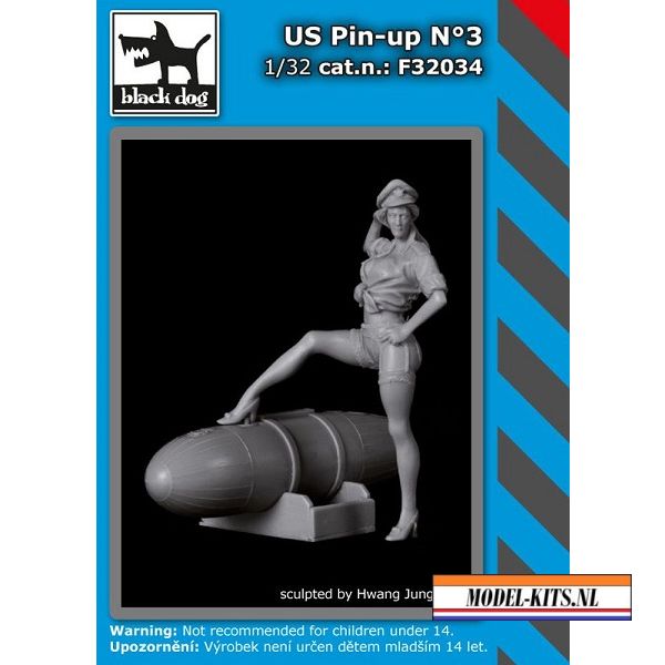 US PIN UP N°3