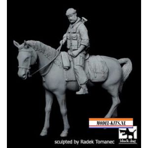 US SPECIAL FORCES ON HORSES
