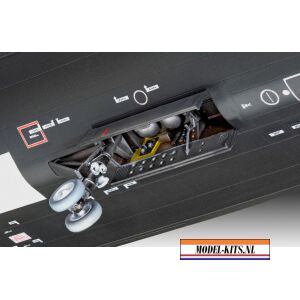 SR 71 BLACKBIRD 5