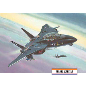 F 14A TOMCAT