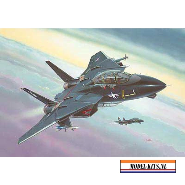 F 14A TOMCAT