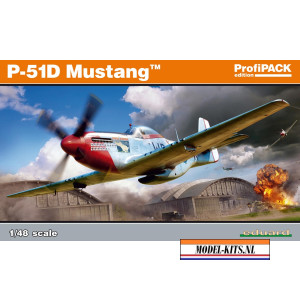 P 51D 10 MUSTANG PROFILPACK