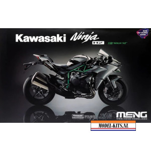 KAWASAKI NINJA H2 PRE COLOURED PARTS