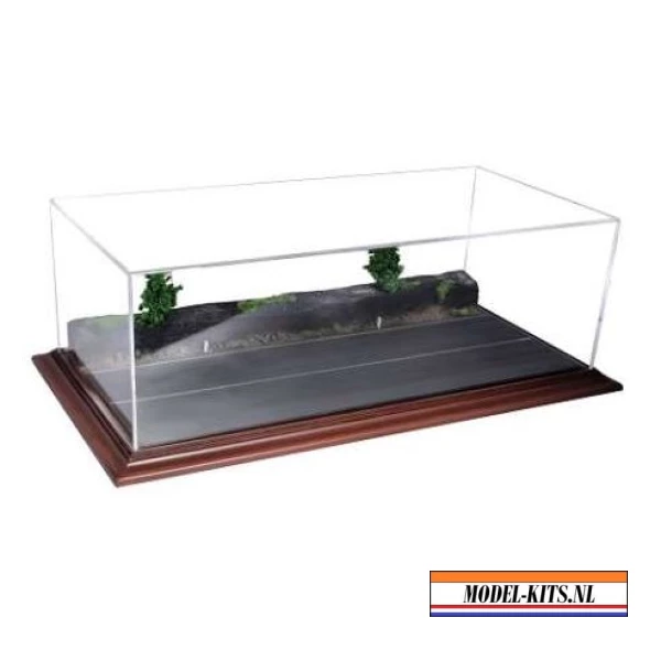 Diorama Based Display Case. Model Forest Road