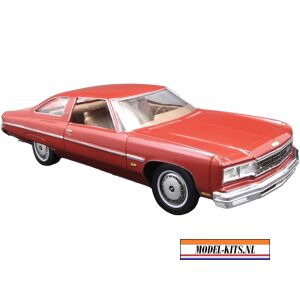 CHEVY CAPRICE WITH TRAILER 1