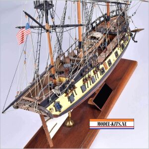 RATTLESNAKE PRIVATEER 3