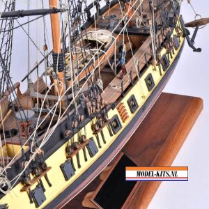 RATTLESNAKE PRIVATEER 6