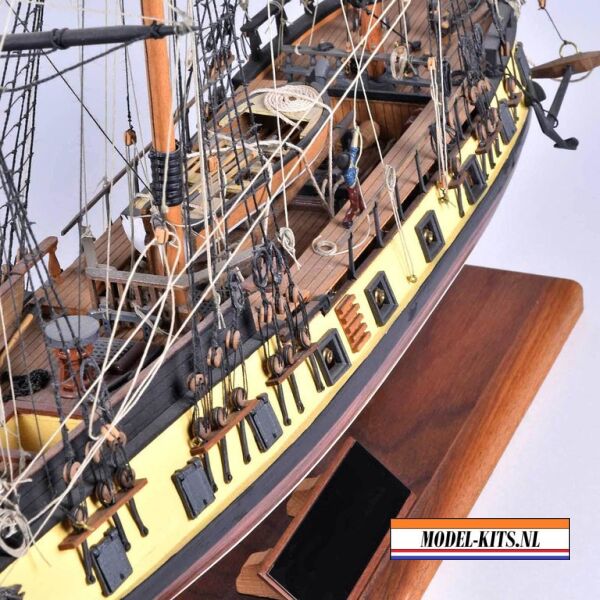 RATTLESNAKE PRIVATEER 6