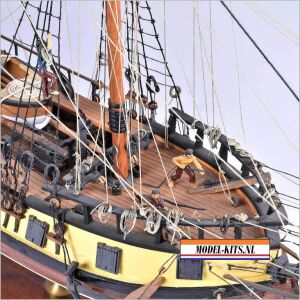 RATTLESNAKE PRIVATEER 7