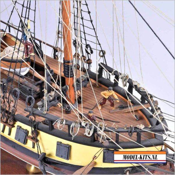 RATTLESNAKE PRIVATEER 7