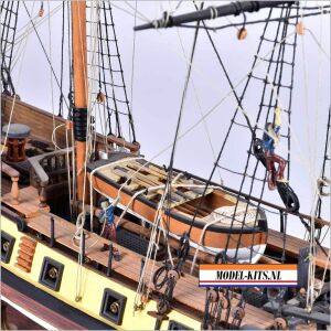 RATTLESNAKE PRIVATEER 8