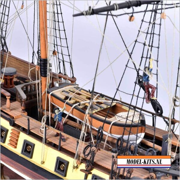 RATTLESNAKE PRIVATEER 8