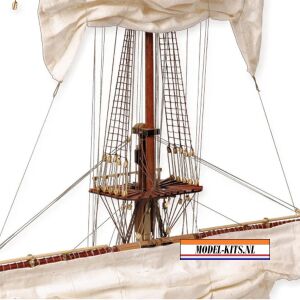Sección Santísima Trinidad 4