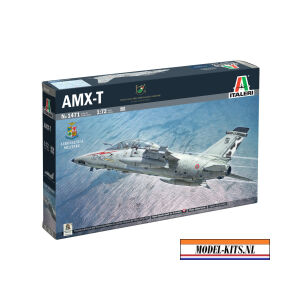 AMX T Twin Seater