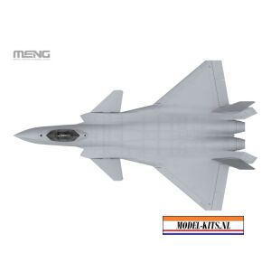 CHINESE J 20 STEALTH FIGHTER 1