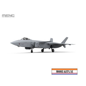 CHINESE J 20 STEALTH FIGHTER 3