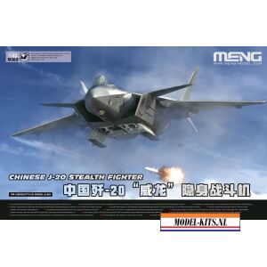 CHINESE J 20 STEALTH FIGHTER