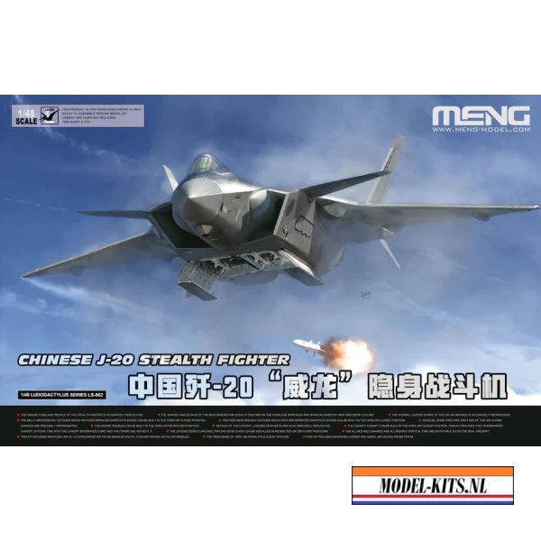 CHINESE J 20 STEALTH FIGHTER