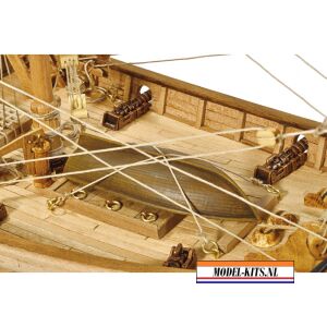 PINTA 6