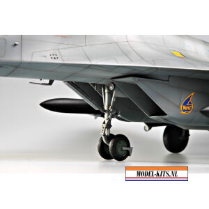 MIG 29M FULCRUM 13