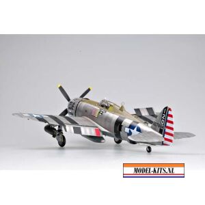 P47D THUNDER RAZOR 1