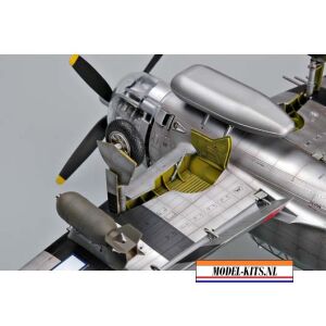 P47D THUNDER RAZOR 4