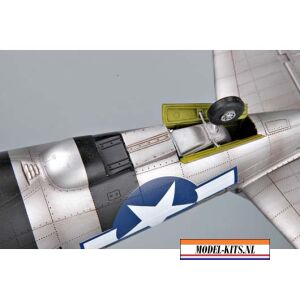 P47D THUNDER RAZOR 5