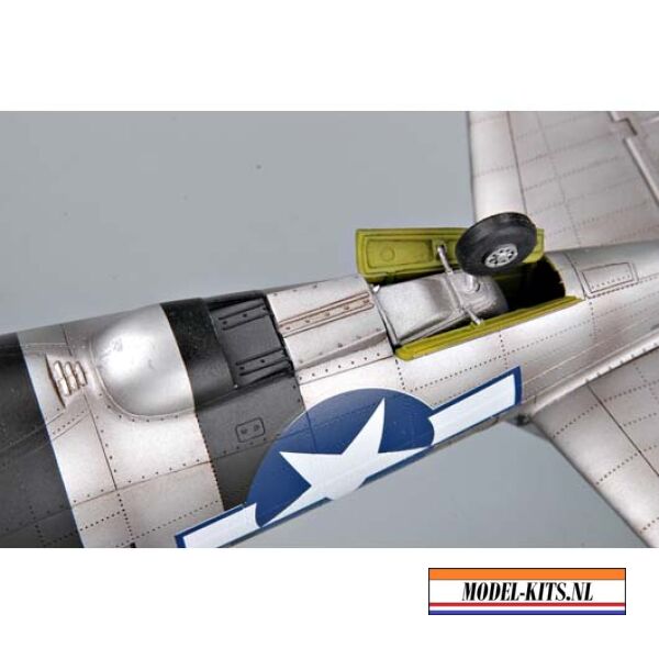 P47D THUNDER RAZOR 5