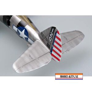 P47D THUNDER RAZOR 7