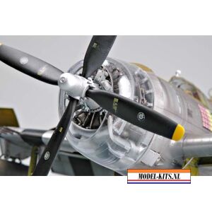 P47D THUNDER RAZOR 9