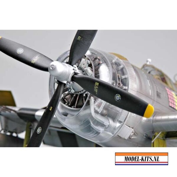P47D THUNDER RAZOR 9