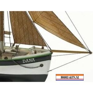 Dana 1