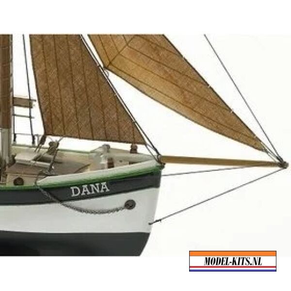 Dana 1