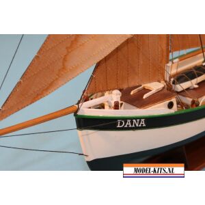 Dana 3