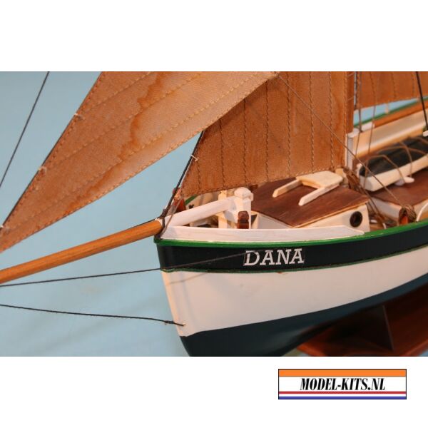 Dana 3