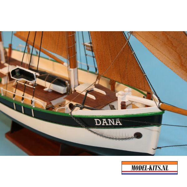 Dana 4