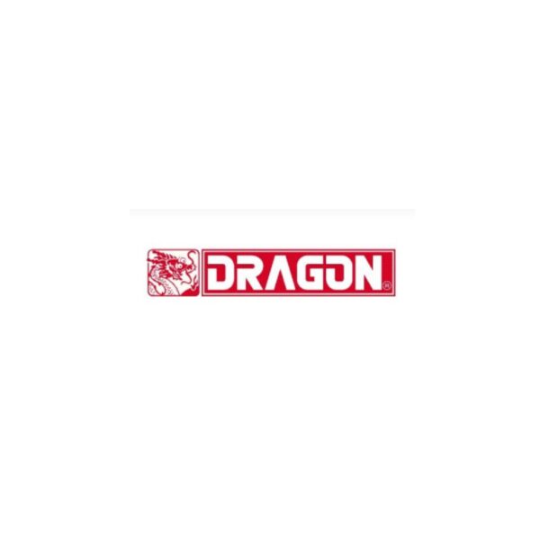 Dragon models
