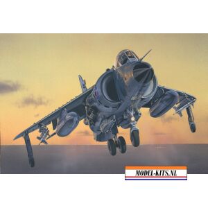 FRS.1 SEA HARRIER 9