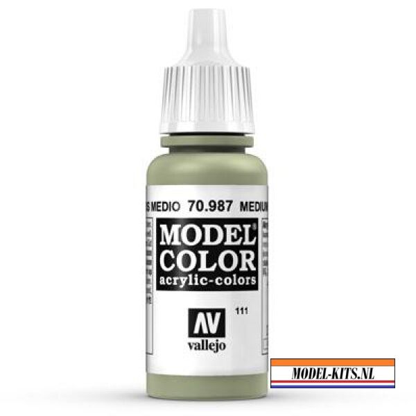 MODEL COLOR MEDIUM GREY