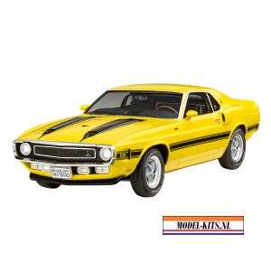 Shelby Mustang GT500 1970 12