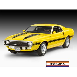 Shelby Mustang GT500 1970 5