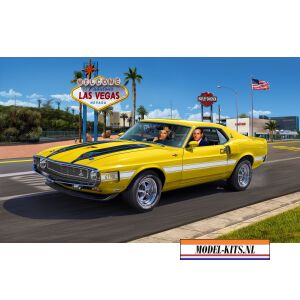 Shelby Mustang GT500 1970 6